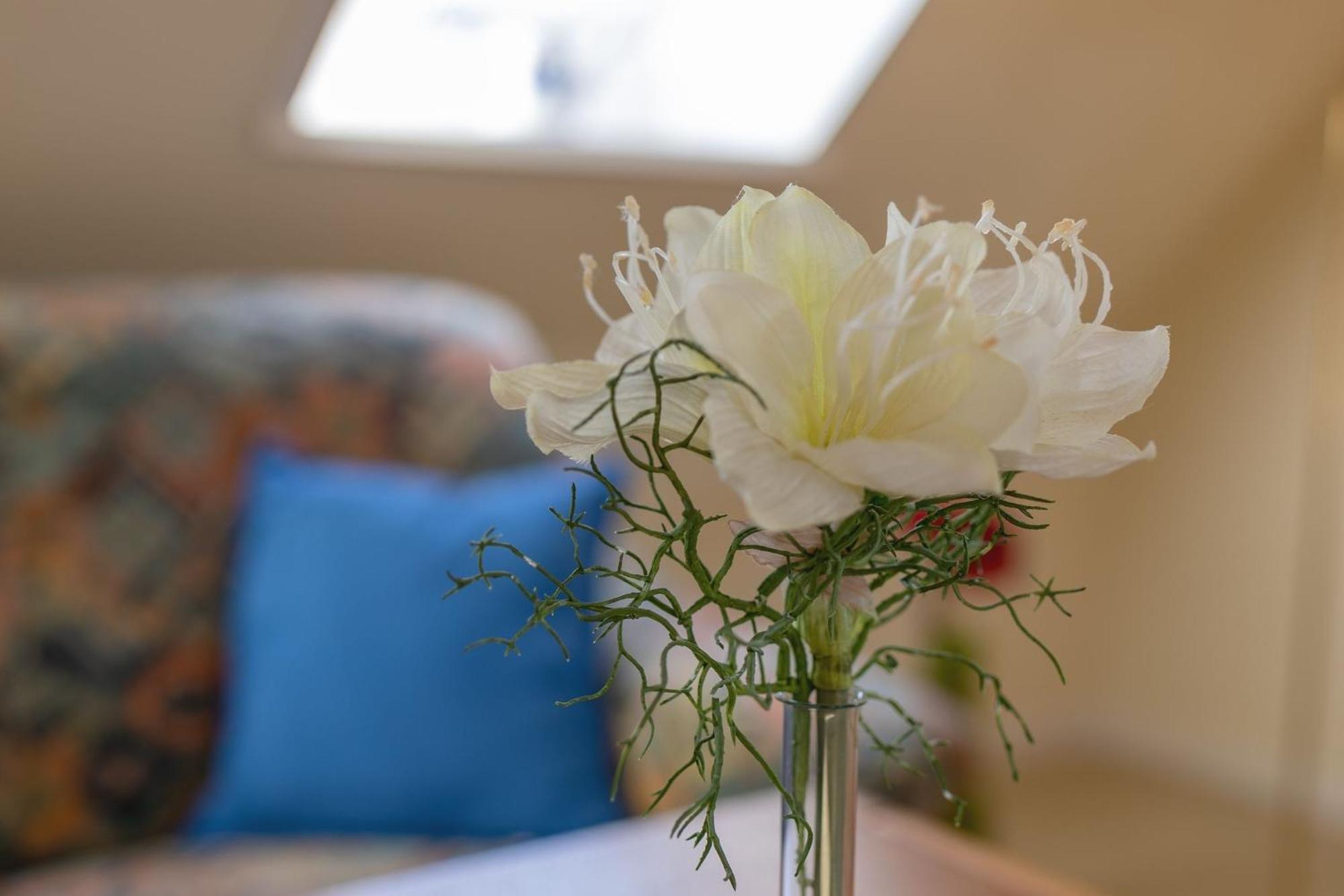 Lindenbuschen 2 Wohnung 7 Kellenhusen Esterno foto